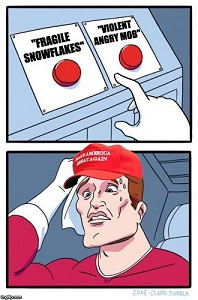 Fragile Snowflakes Small.jpg