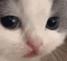 images.jpg
