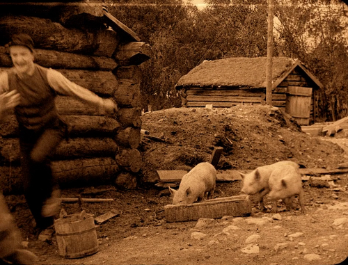 d0d95915a5c1.png