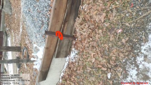 IMG 20221110 151059.jpg
