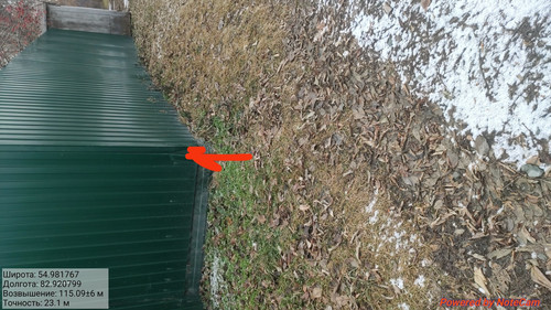 IMG 20221110 151159.jpg