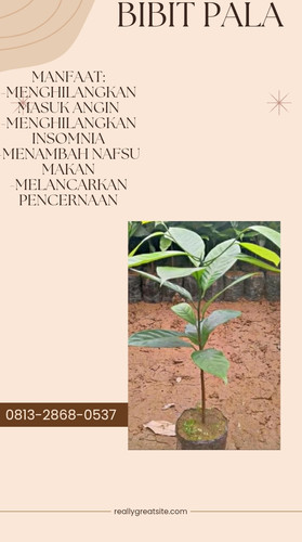 Screenshot 2022 11 10 14 17 16 47 c0d35d5c8ea536686f7fb1c9f2f8f274.jpg
