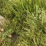 d6d57f978afe.png