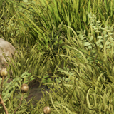 99b6d40106a7.png