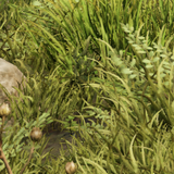 ae6e818e1c81.png