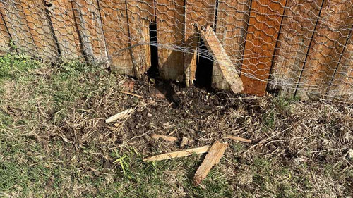 fence NOV 22.jpg
