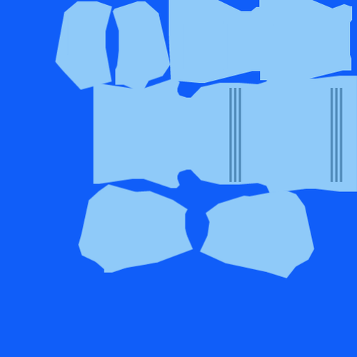 Shirt DLS 21.png