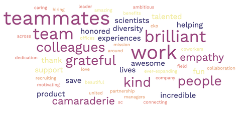 Wall of Gratitude.png