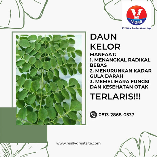 Pusat Budidaya Herbal Daun Kelor Kualitas Tinggi Tambak Bayumas.jpg