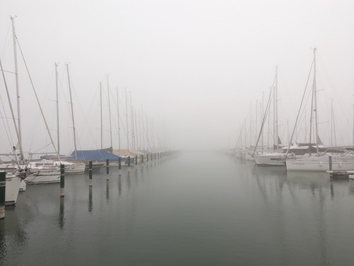 PXL 20221113 072213616.NIGHT.jpg