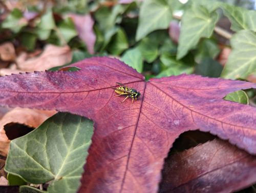 PXL 20221112 100118346.jpg