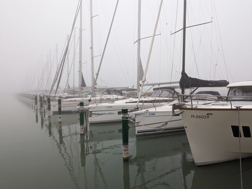 PXL 20221113 071850420.NIGHT.jpg