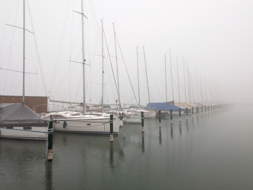 PXL 20221113 072218540.NIGHT.jpg