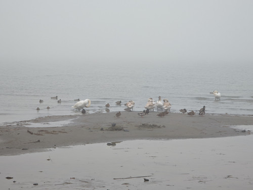 PXL 20221113 080541679.NIGHT.jpg