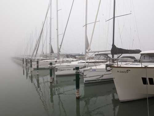 PXL 20221113 071848013.NIGHT.jpg