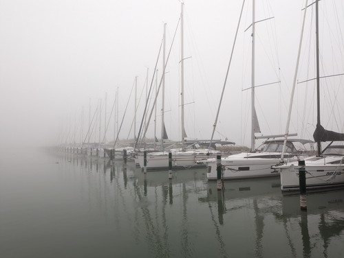 PXL 20221113 071920228.NIGHT.jpg