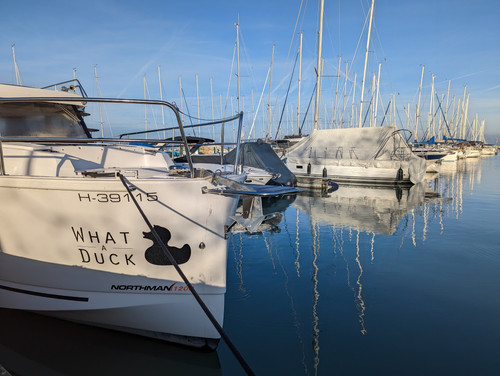 PXL 20221112 071924941.NIGHT.jpg