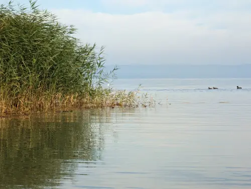 IMG 20221112 092655 722.webp