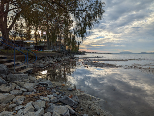 PXL 20221111 141648910.NIGHT.jpg