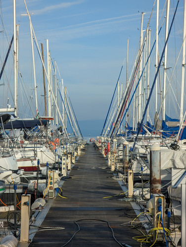 PXL 20221112 075440861.jpg