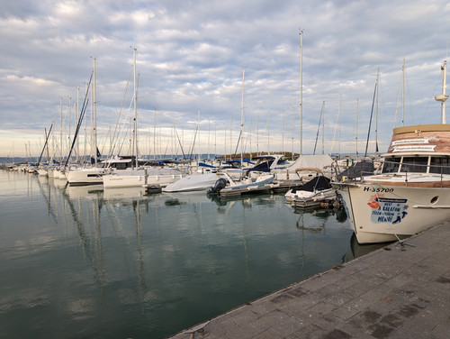 PXL 20221111 141214543.NIGHT.jpg