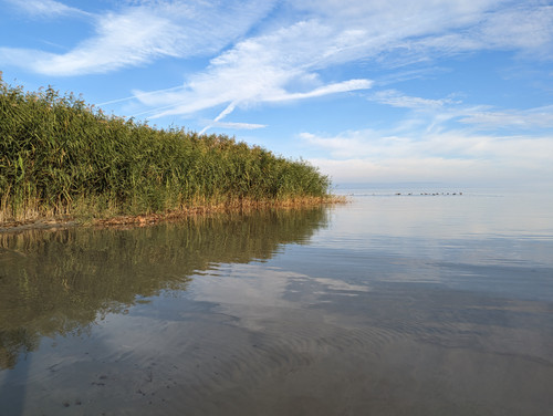 PXL 20221112 075753456.NIGHT.jpg