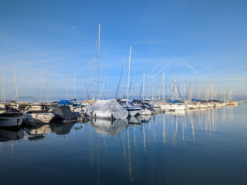 PXL 20221112 071822653.NIGHT.jpg