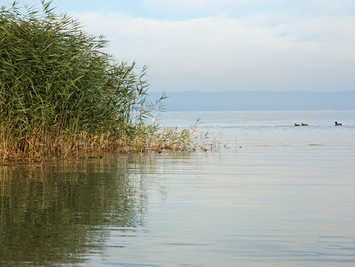 PXL 20221112 075809033.NIGHT.jpg