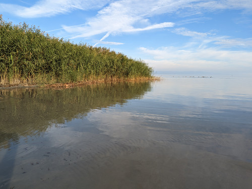 PXL 20221112 075758337.NIGHT.jpg