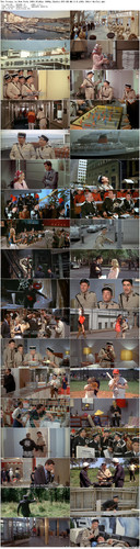The.Troops.in.New.York.1965.BluRay.1080p.2Audio.DTS HD.MA.2.0.x265.10bit BeiTai preview.jpg