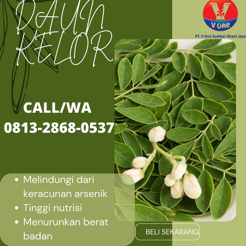 Pusat Budidaya Herbal Daun Kelor bubuk Tambak Bayumas.jpg