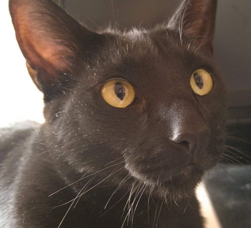 IMG 20220711 145842601.jpg