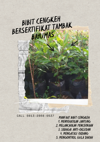 png 20221114 094737 0000.png