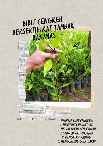 png 20221114 091611 0000.png