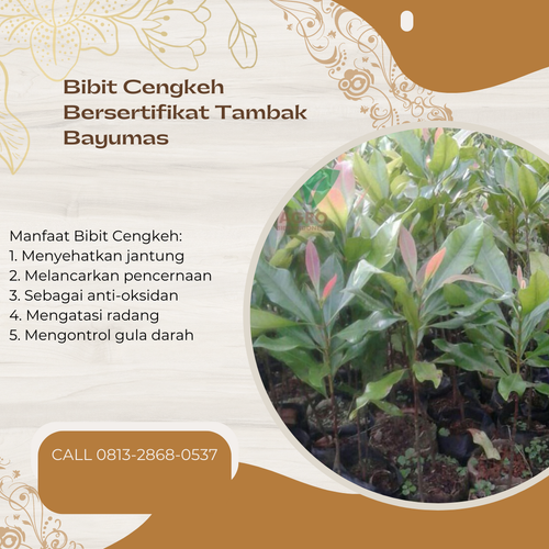 png 20221113 230758 0000.png