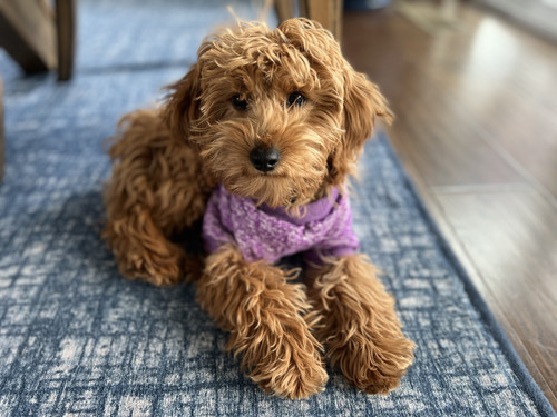 70757D21 3BB2 4CCF 817C 67FF5CB371D0.jpg