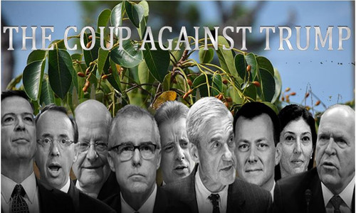 coup overthrow swamp.jpg