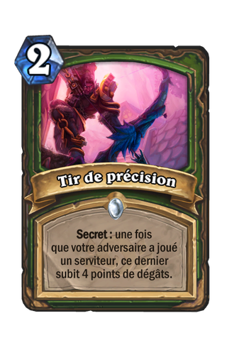 Tir de précision.png
