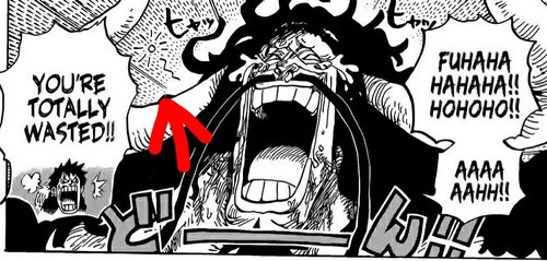 img 3021 2500774064 1642303765547.jpg