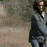 kung fu (3).gif