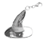 WHCharm removebg preview