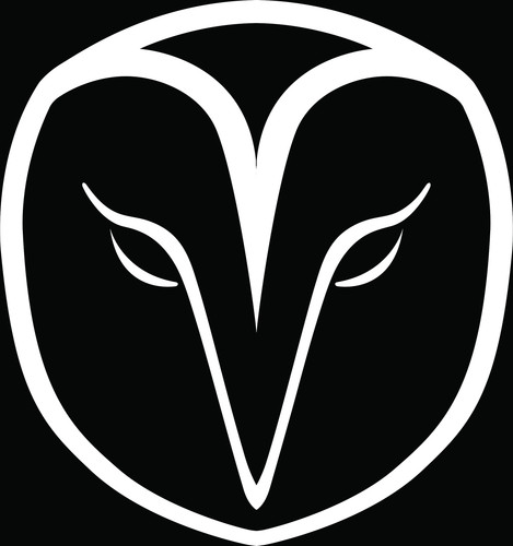 just owl face on B.jpg
