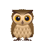 owl (1)