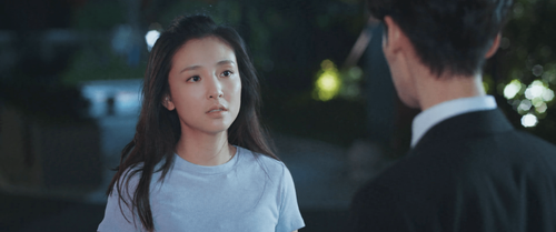 Light.Chaser.Rescue.2022.E35.WEB DL.4K.H265.AAC HDCTV.mp4 20221113 113438.577.png