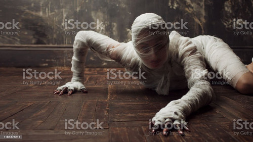 istockphoto 1181376211 1024x1024.jpg