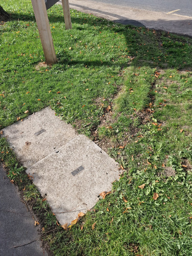 20221011 141200.jpg