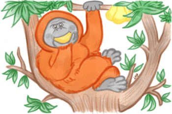 Orangutan Signature Mutti (1).png