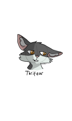 fa3b2511 e50f 4fdf bc78 680b85dbd7e9.png