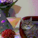 kotstepan.gif