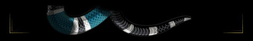 snake3.jpg